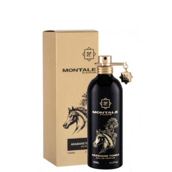 Montale Arabians Tonka