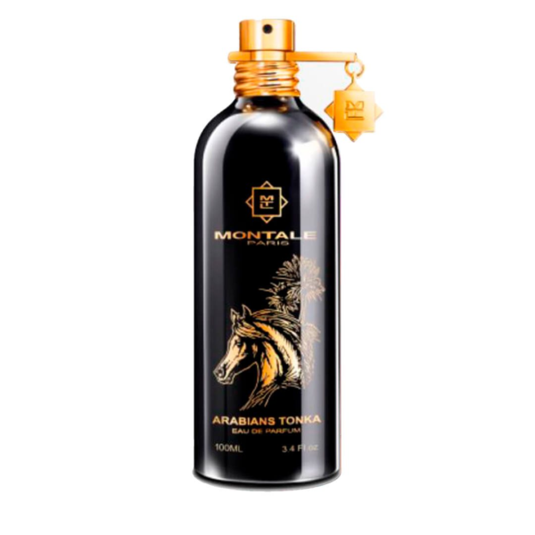 Montale Arabians Tonka - Image 2